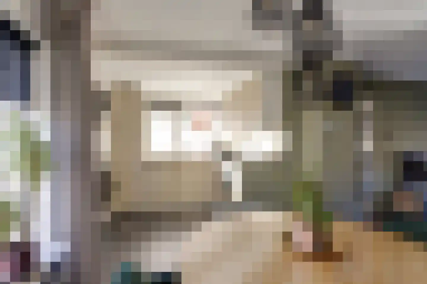 Charlotte de Bourbonlaan 27 Lochem thumbnail 8