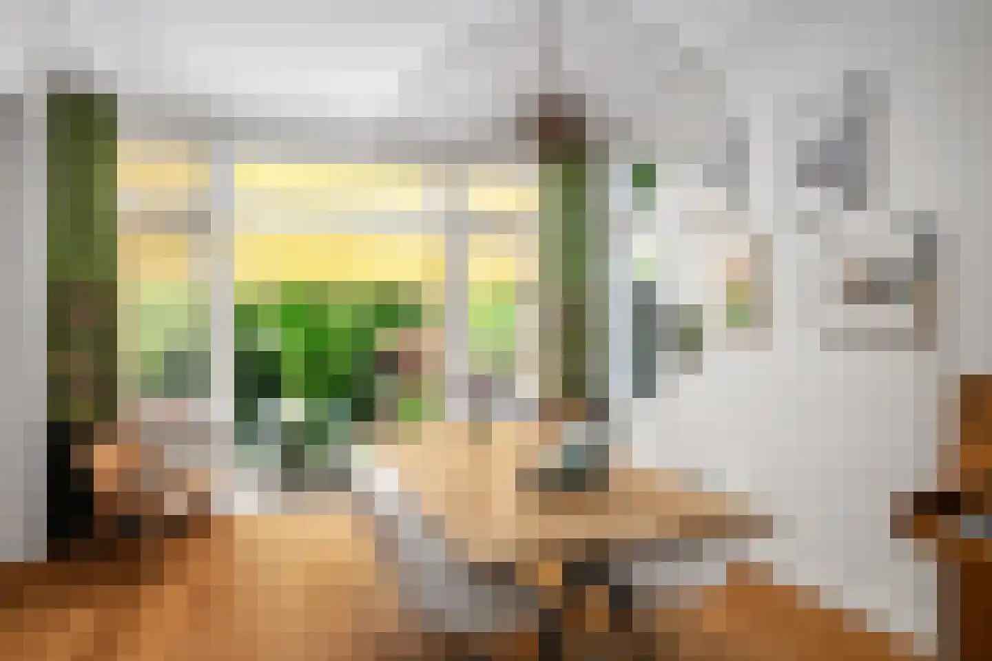 Charlotte de Bourbonlaan 29 A Rotterdam thumbnail 10