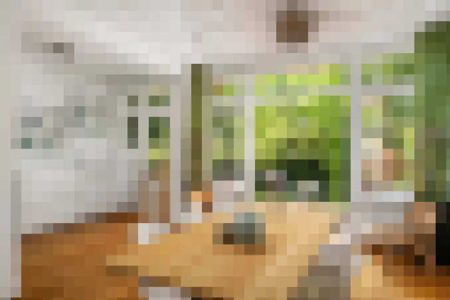 Charlotte de Bourbonlaan 29 A Rotterdam thumbnail 12