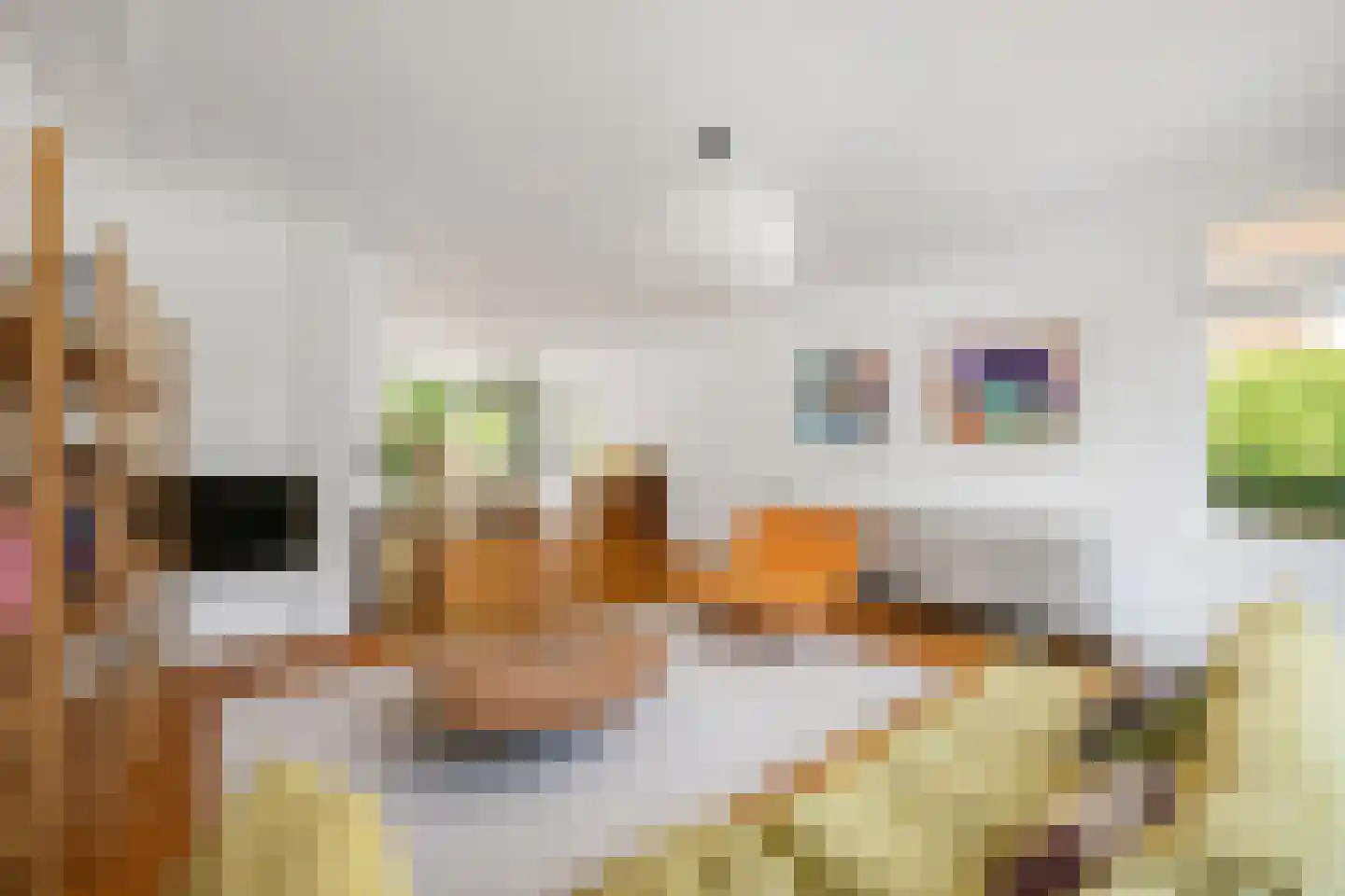 Charlotte de Bourbonlaan 29 A Rotterdam thumbnail 8