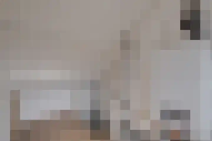 Charlotte de Bourbonlaan 30 Lochem thumbnail 20