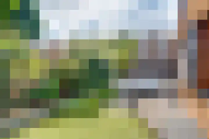 Charlotte de Bourbonlaan 30 Lochem thumbnail 24