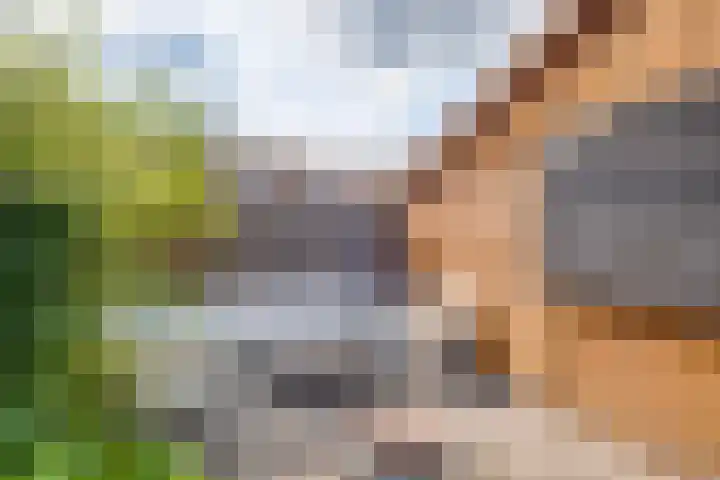 Charlotte de Bourbonlaan 30 Lochem thumbnail 26