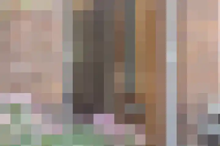 Charlotte de Bourbonlaan 36 Rotterdam thumbnail 4