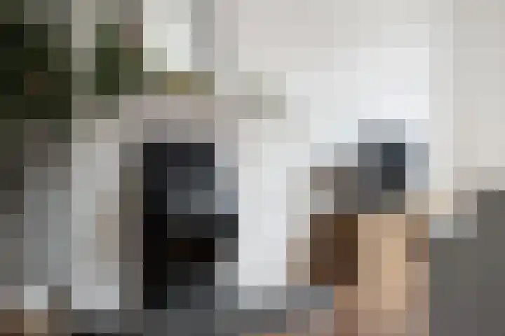 Charlotte de Bourbonlaan 37 A Rotterdam thumbnail 4