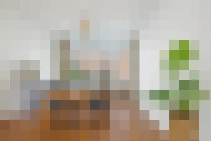 Charlotte de Bourbonlaan 37 A Rotterdam thumbnail 7