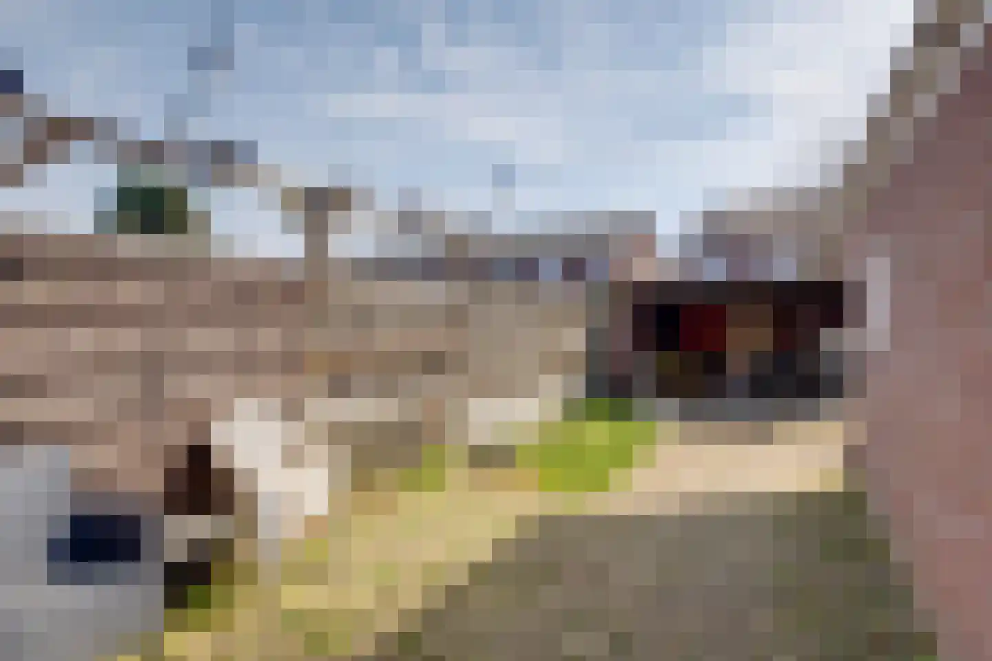 Charlotte de Bourbonlaan 39 Lochem thumbnail 17