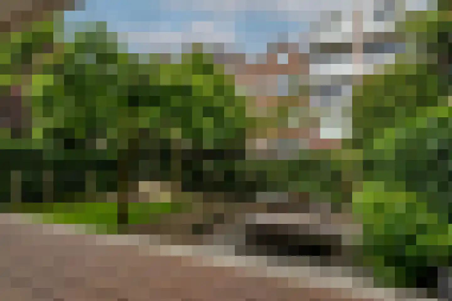 Charlotte de Bourbonlaan 41 C Rotterdam thumbnail 34