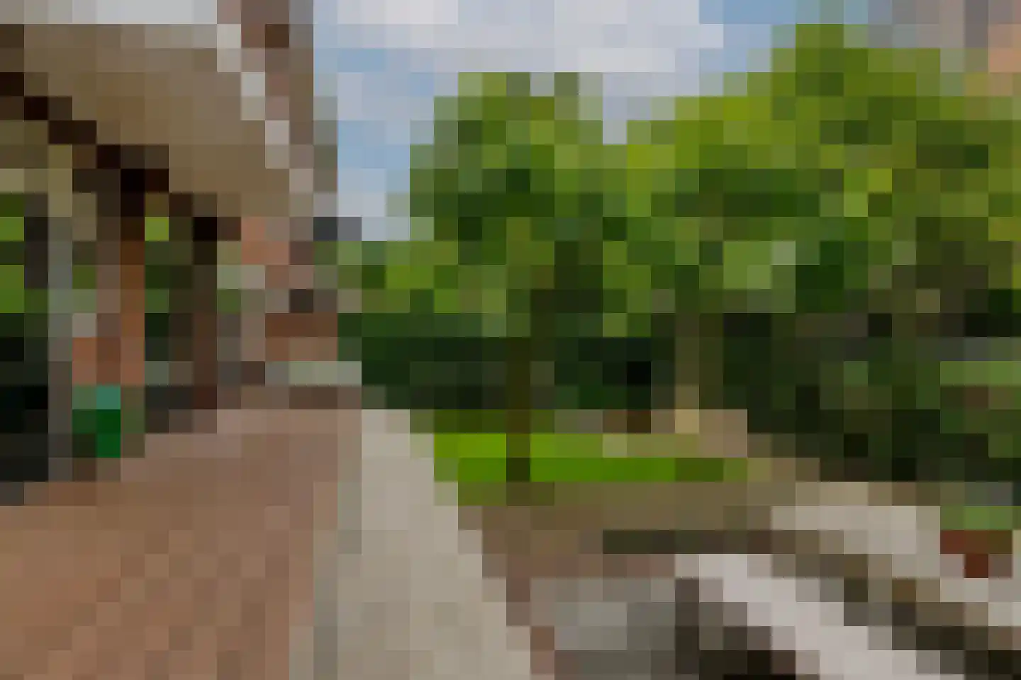 Charlotte de Bourbonlaan 41 C Rotterdam thumbnail 35
