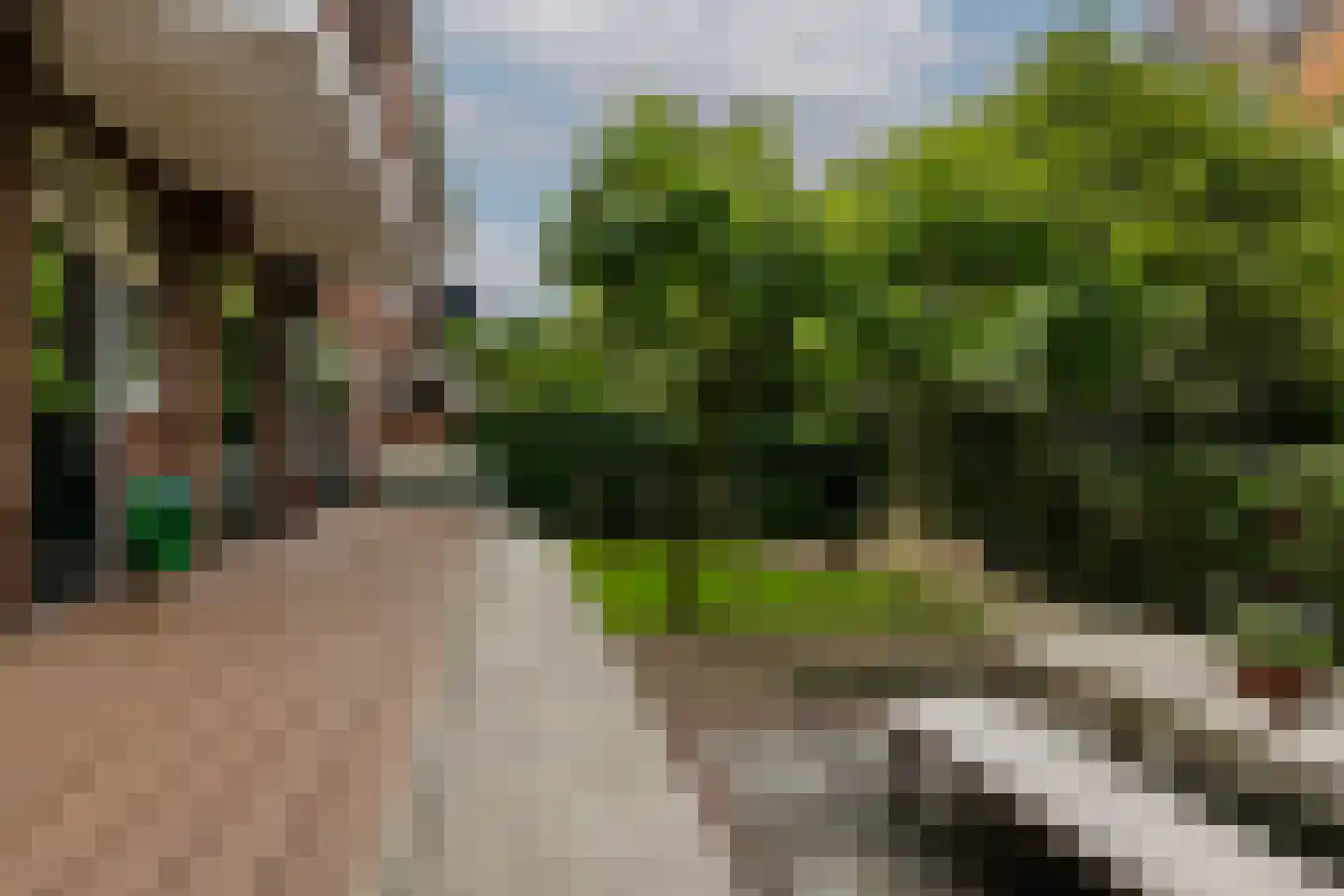 Charlotte de Bourbonlaan 41 C Rotterdam thumbnail 36