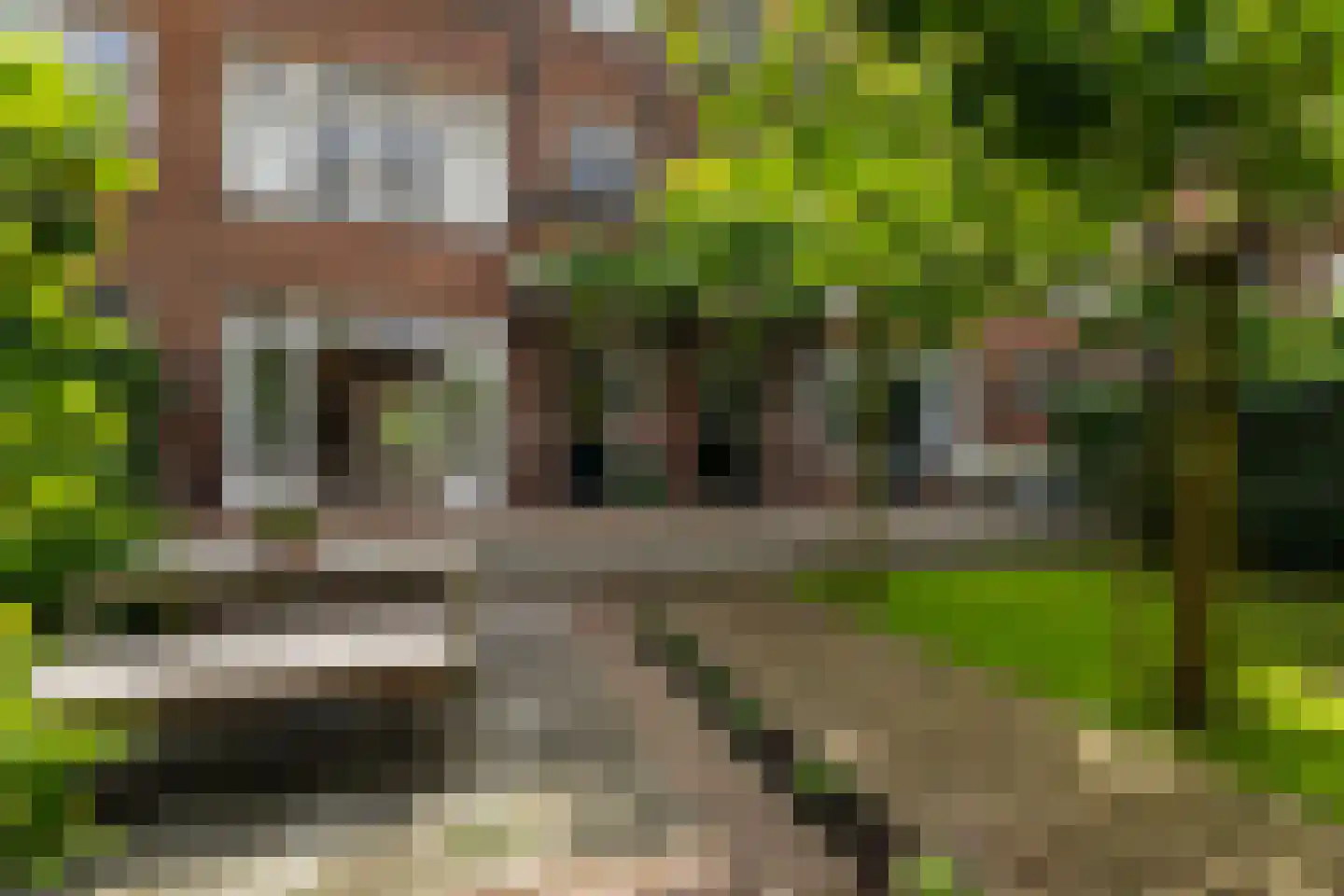 Charlotte de Bourbonlaan 41 C Rotterdam thumbnail 38