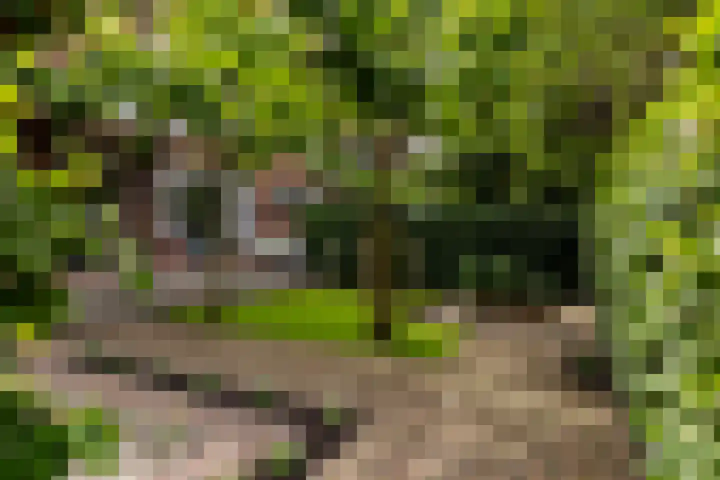 Charlotte de Bourbonlaan 41 C Rotterdam thumbnail 39