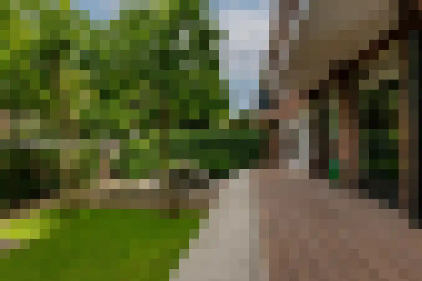 Charlotte de Bourbonlaan 41 C Rotterdam thumbnail 43