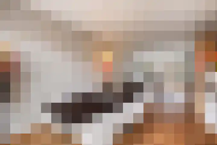 Charlotte de Bourbonlaan 74 Rotterdam thumbnail 12