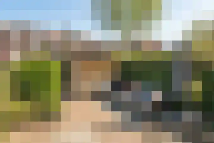 Charlotte de Bourbonlaan 74 Rotterdam thumbnail 30