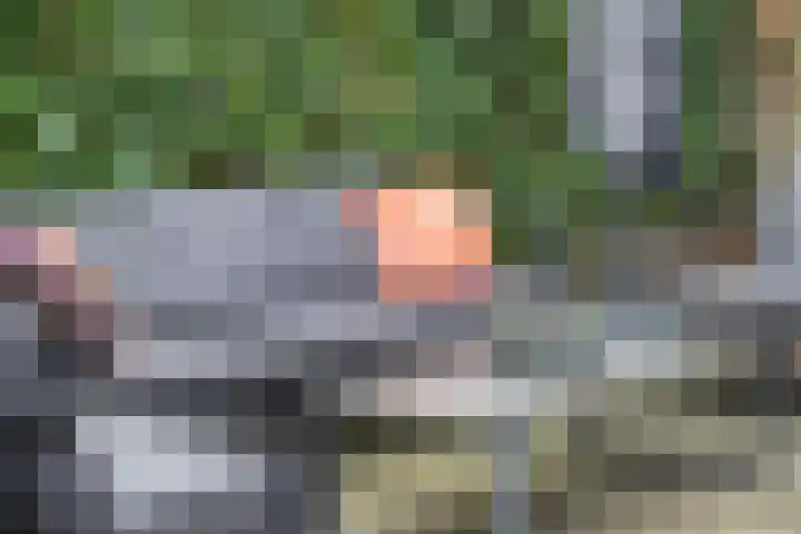 Charlotte de Bourbonlaan 74 Rotterdam thumbnail 31