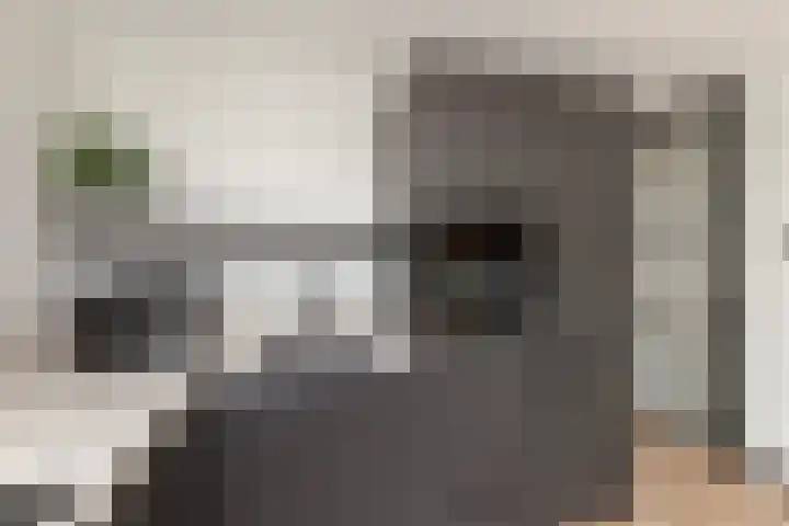 Charlotte de Bourbonlaan 8 Vlaardingen thumbnail 24