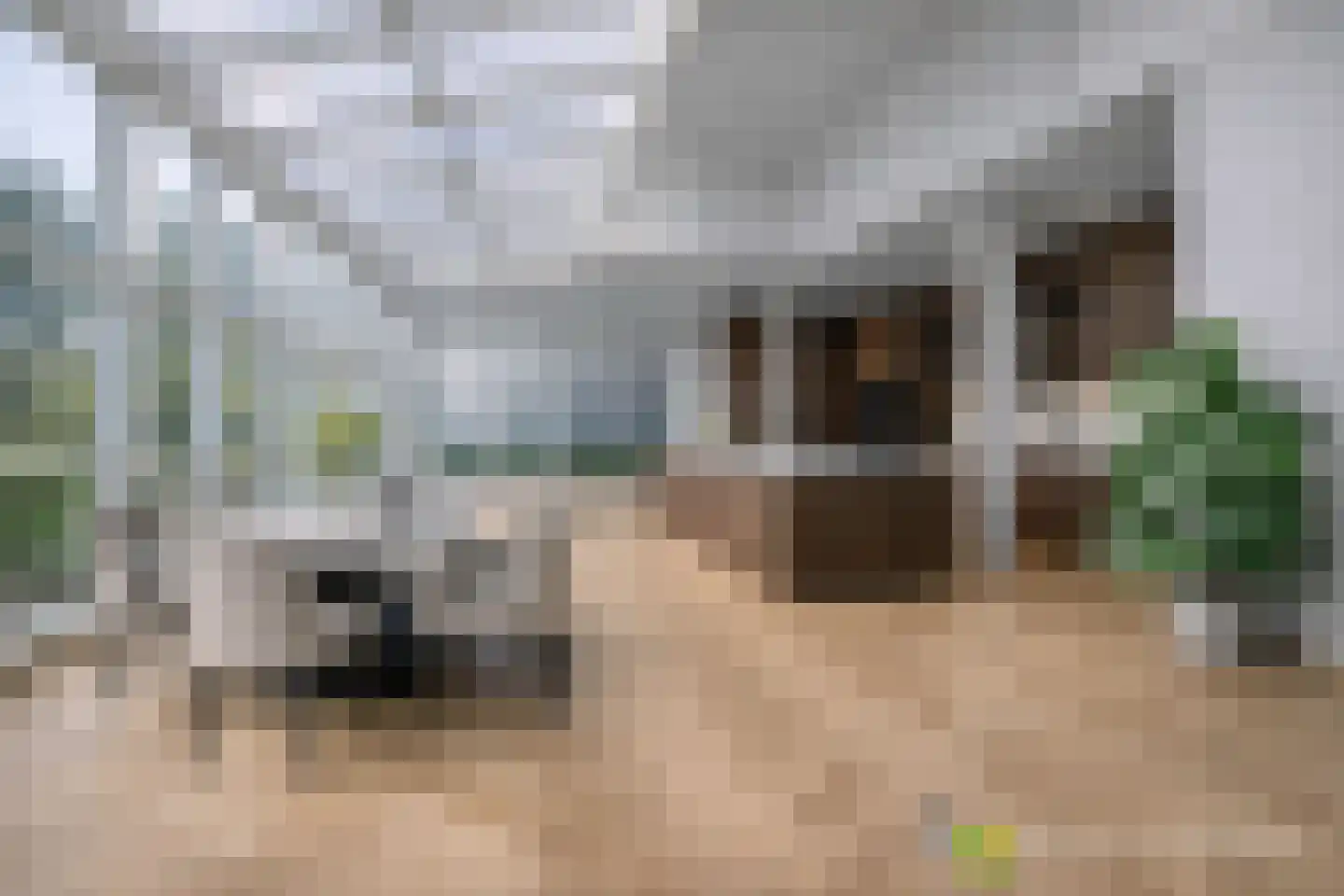 Charlotte de Bourbonlaan 9 Zierikzee thumbnail 30