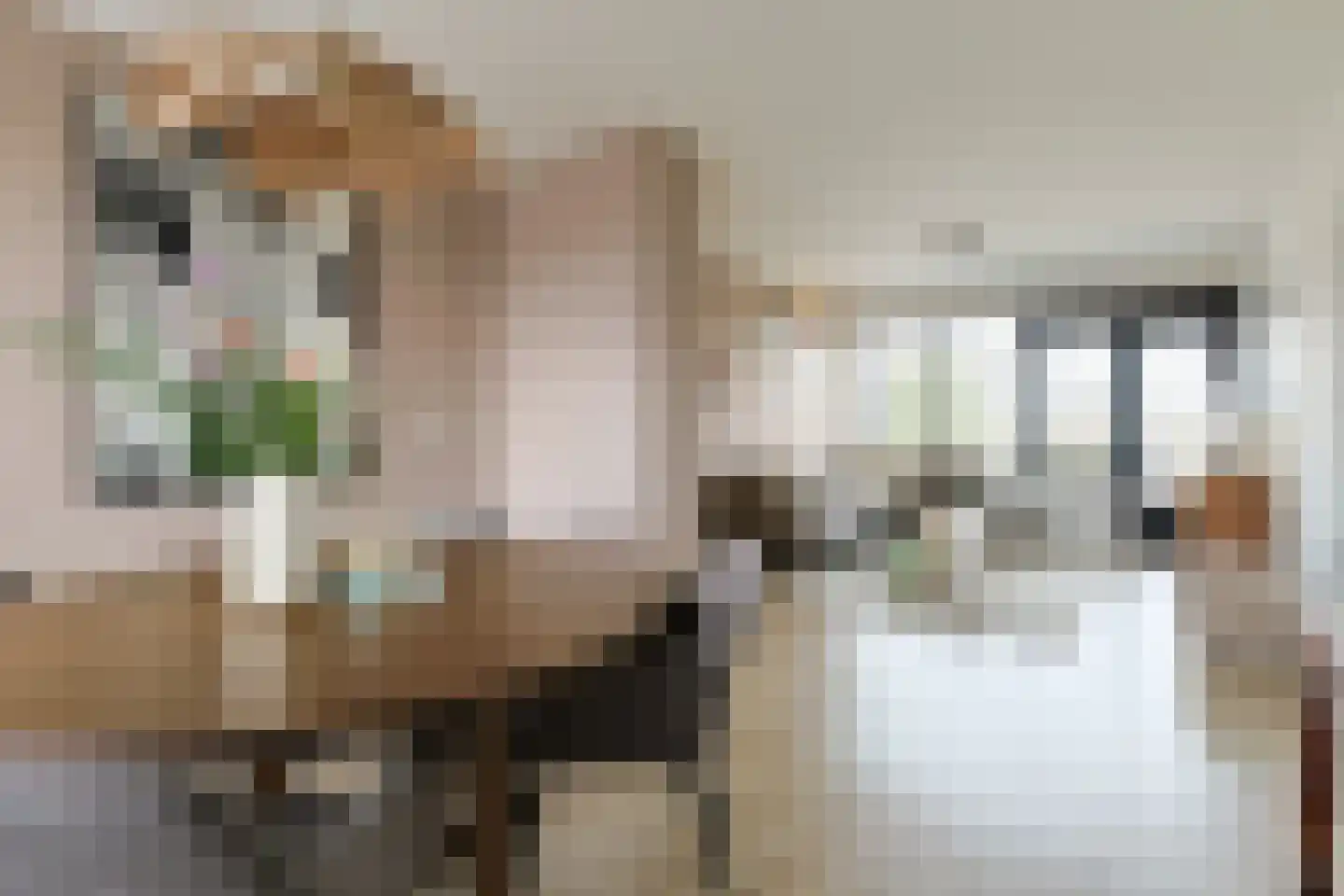 Charlotte de Bourbonstraat 12 Alphen aan den Rijn thumbnail 16