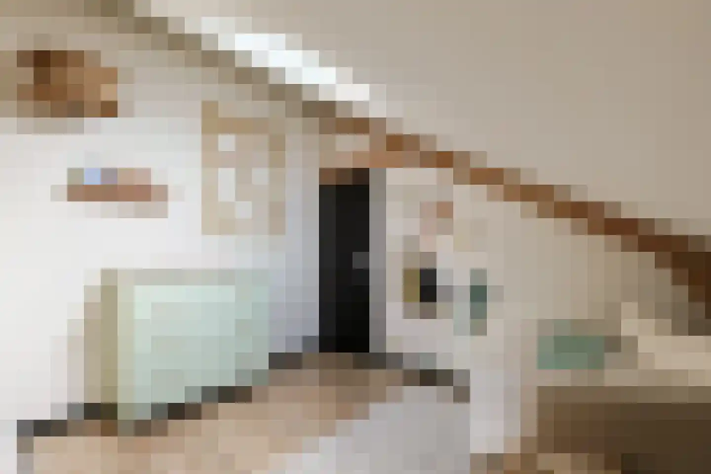 Charlotte de Bourbonstraat 12 Alphen aan den Rijn thumbnail 38