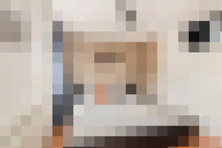 Charlotte de Bourbonstraat 14 Castricum thumbnail 30