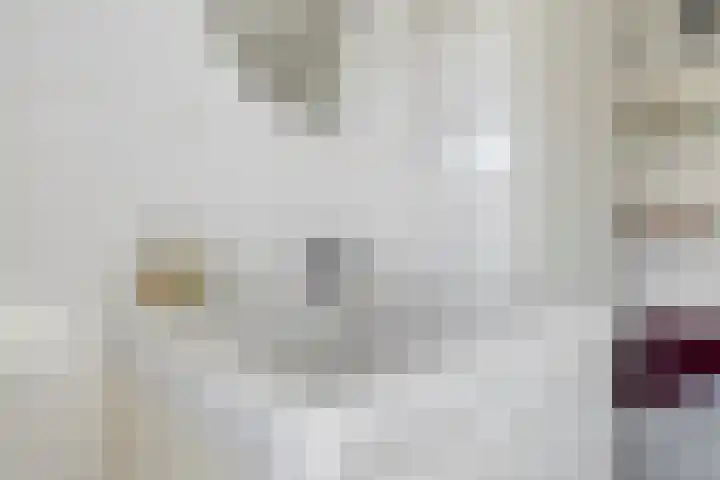 Charlotte de Bourbonstraat 18 Leiderdorp thumbnail 26