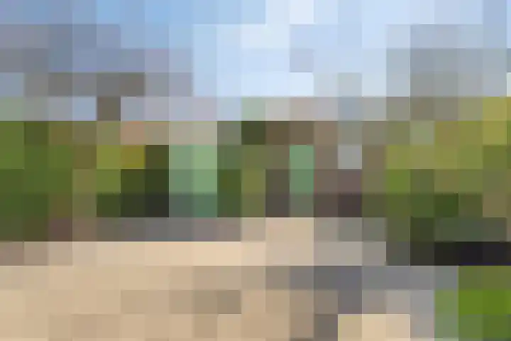 Charlotte de Bourbonstraat 18 Leiderdorp thumbnail 6
