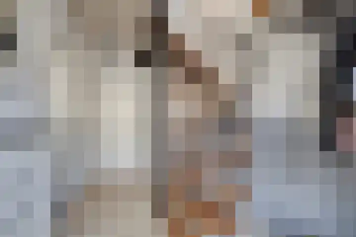 Charlotte de Bourbonstraat 18 Leiderdorp thumbnail 9