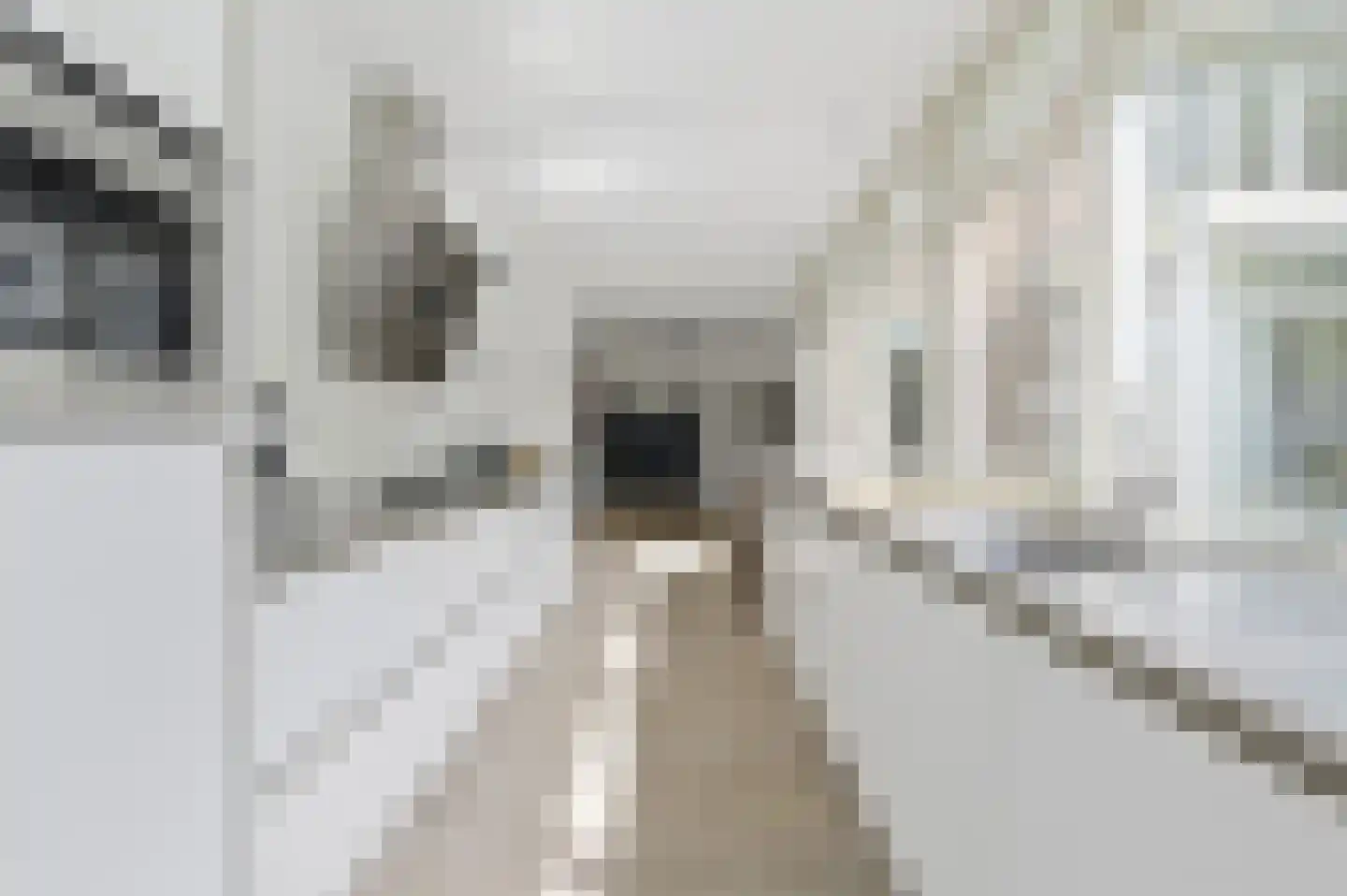 Charlotte de Bourbonstraat 24 Delft thumbnail 17