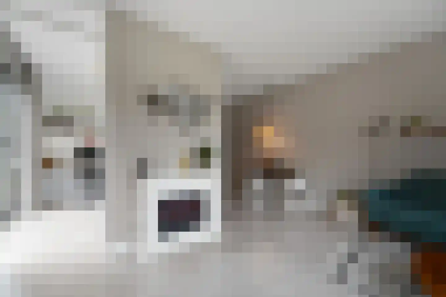 Charlotte de Bourbonstraat 3 Delft thumbnail 13