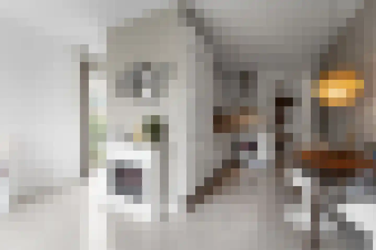 Charlotte de Bourbonstraat 3 Delft thumbnail 14