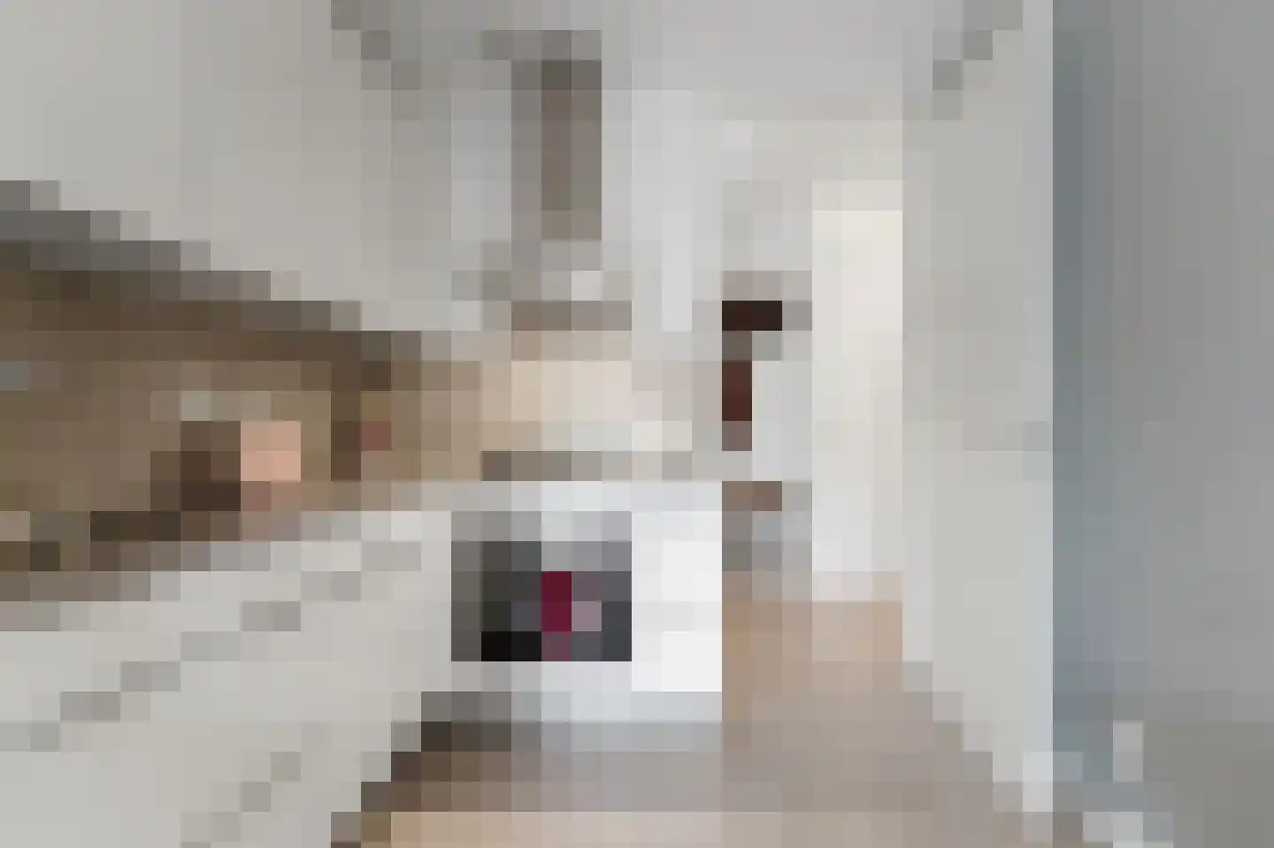 Charlotte de Bourbonstraat 3 Delft thumbnail 16