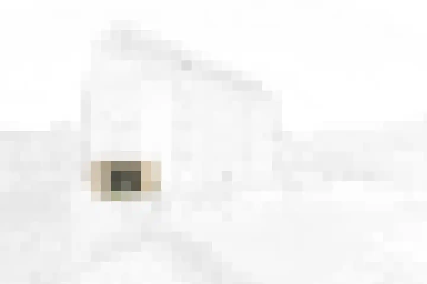 Charlotte de Bourbonstraat 3 Delft thumbnail 5