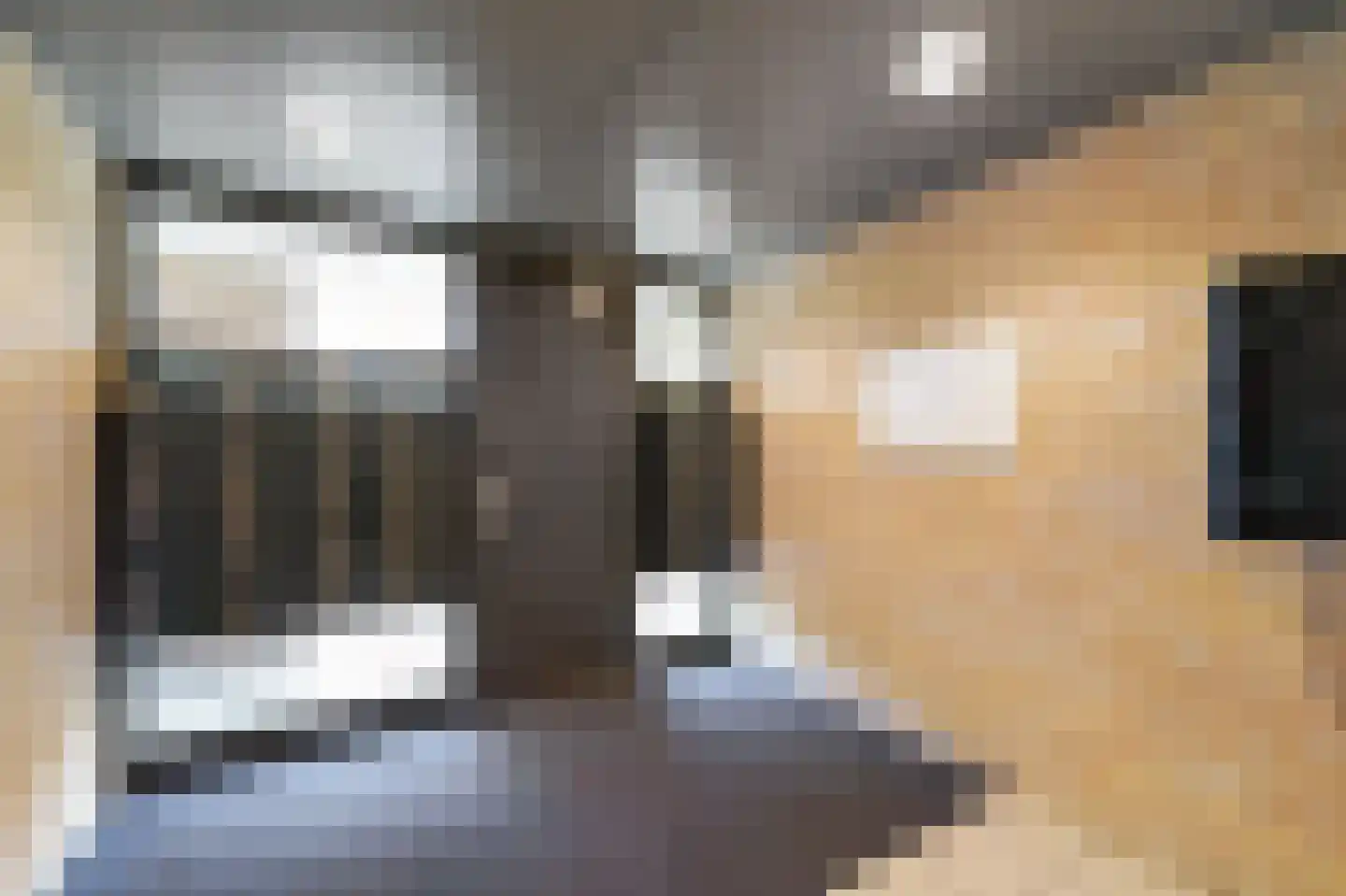 Charlotte de Bourbonstraat 3 Delft thumbnail 9