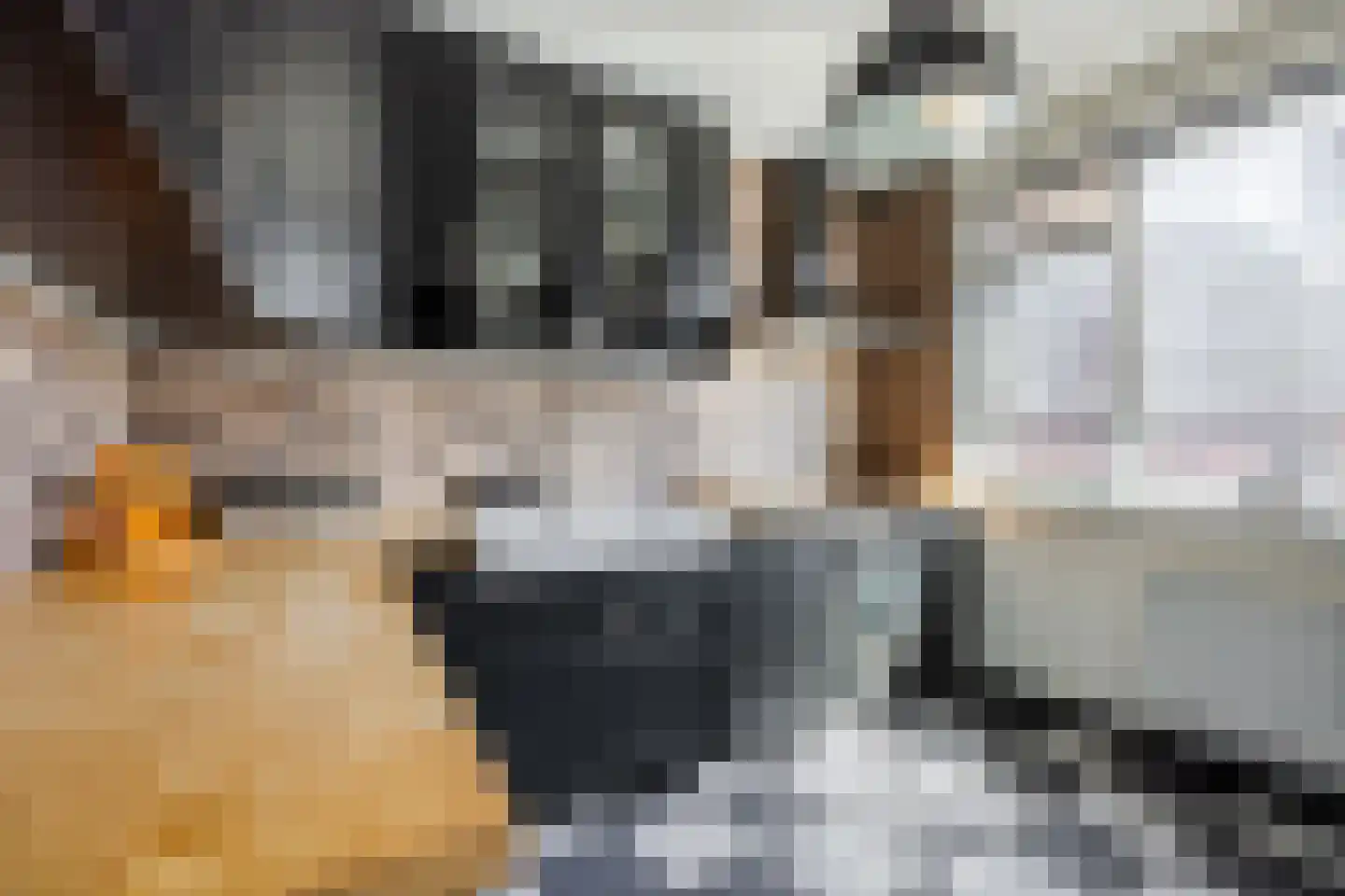 Charlotte de Bourbonstraat 30 Den Haag thumbnail 22
