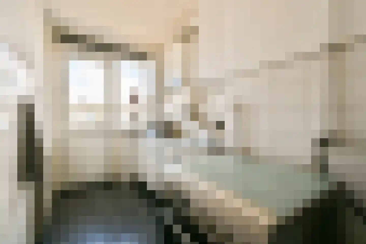 Charlotte de Bourbonstraat 37 3 Amsterdam thumbnail 12