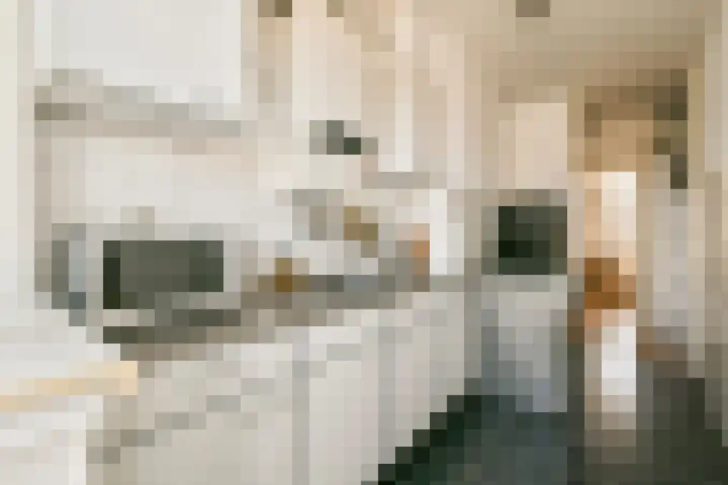 Charlotte de Bourbonstraat 37 3 Amsterdam thumbnail 14