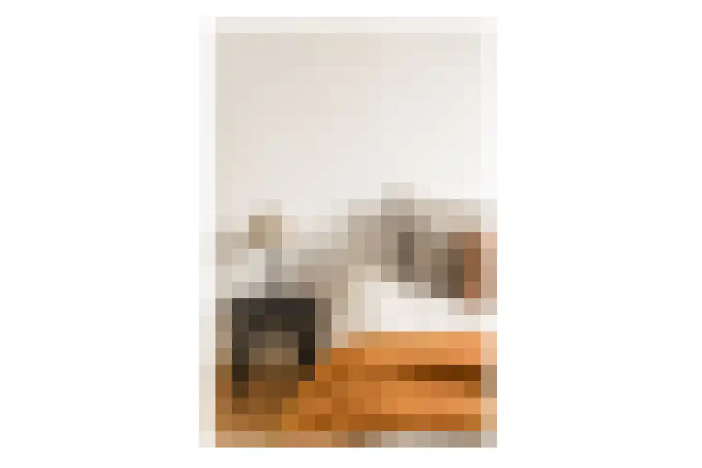 Charlotte de Bourbonstraat 37 3 Amsterdam thumbnail 16