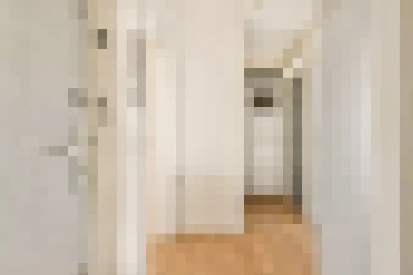 Charlotte de Bourbonstraat 37 3 Amsterdam thumbnail 4