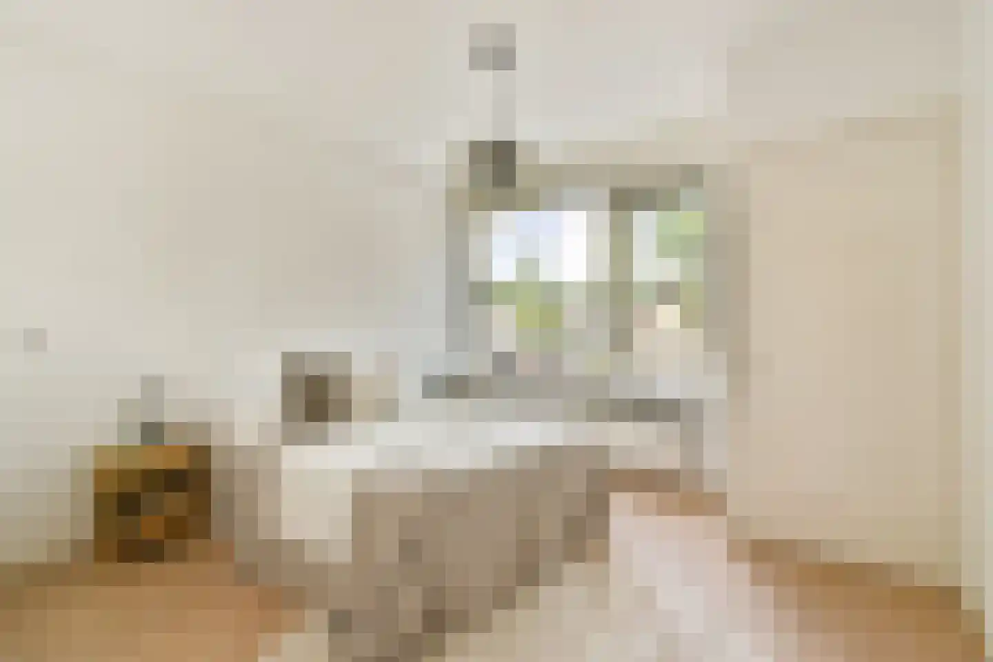 Charlotte de Bourbonstraat 40 Alphen aan den Rijn thumbnail 4