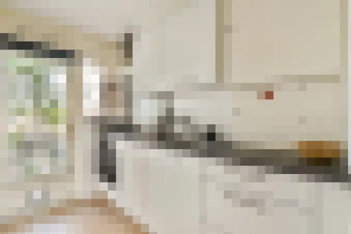 Charlotte de Bourbonstraat 40 Alphen aan den Rijn thumbnail 7