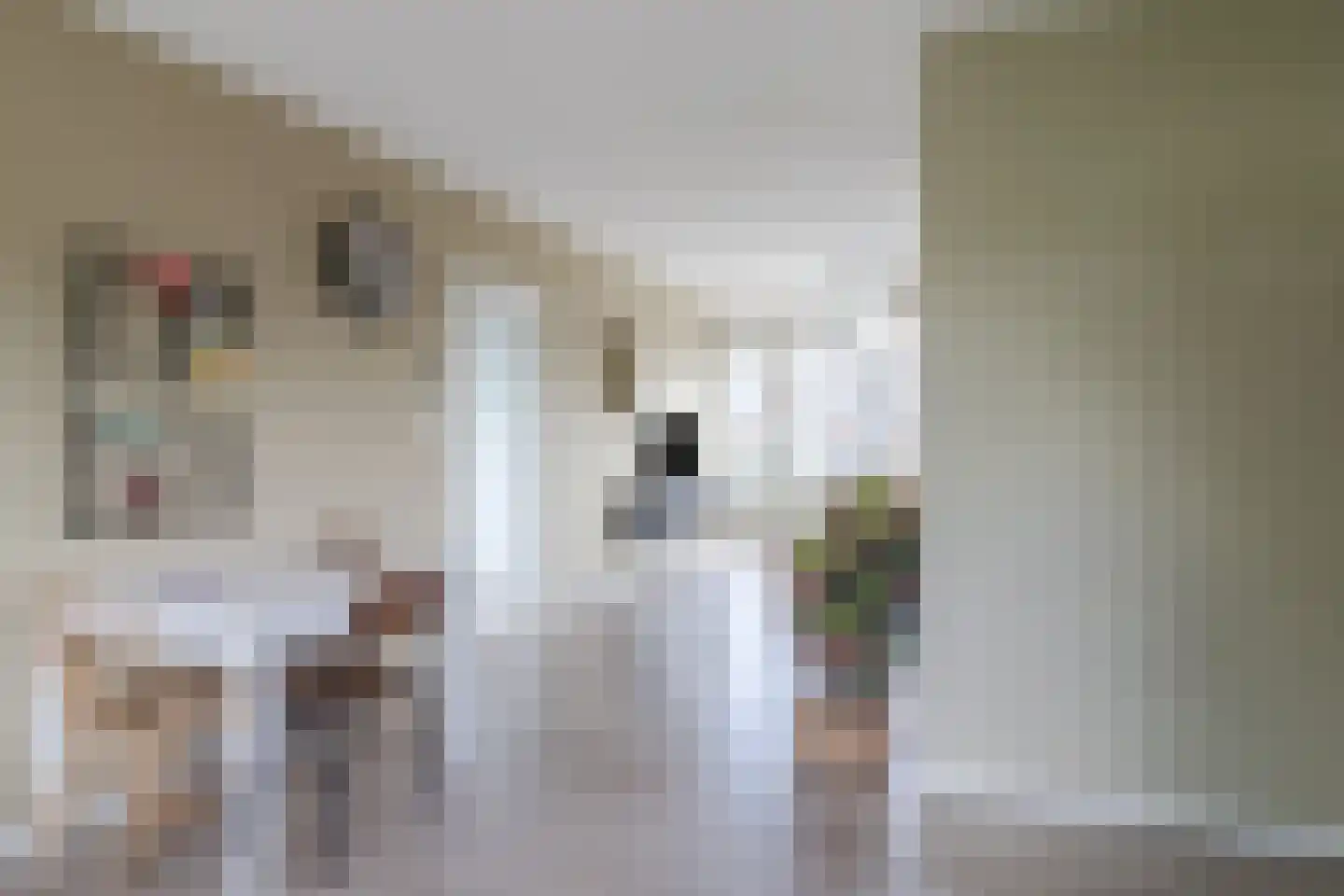 Charlotte de Bourbonstraat 42 Alphen aan den Rijn thumbnail 8
