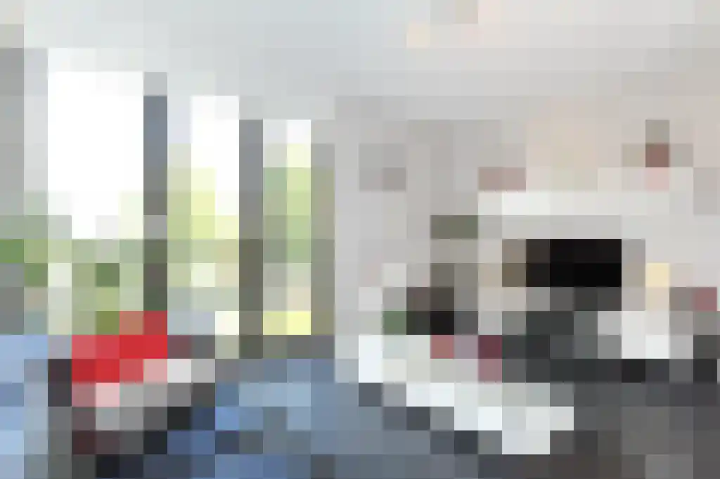 Charlotte de Bourbonstraat 5 Delft thumbnail 6