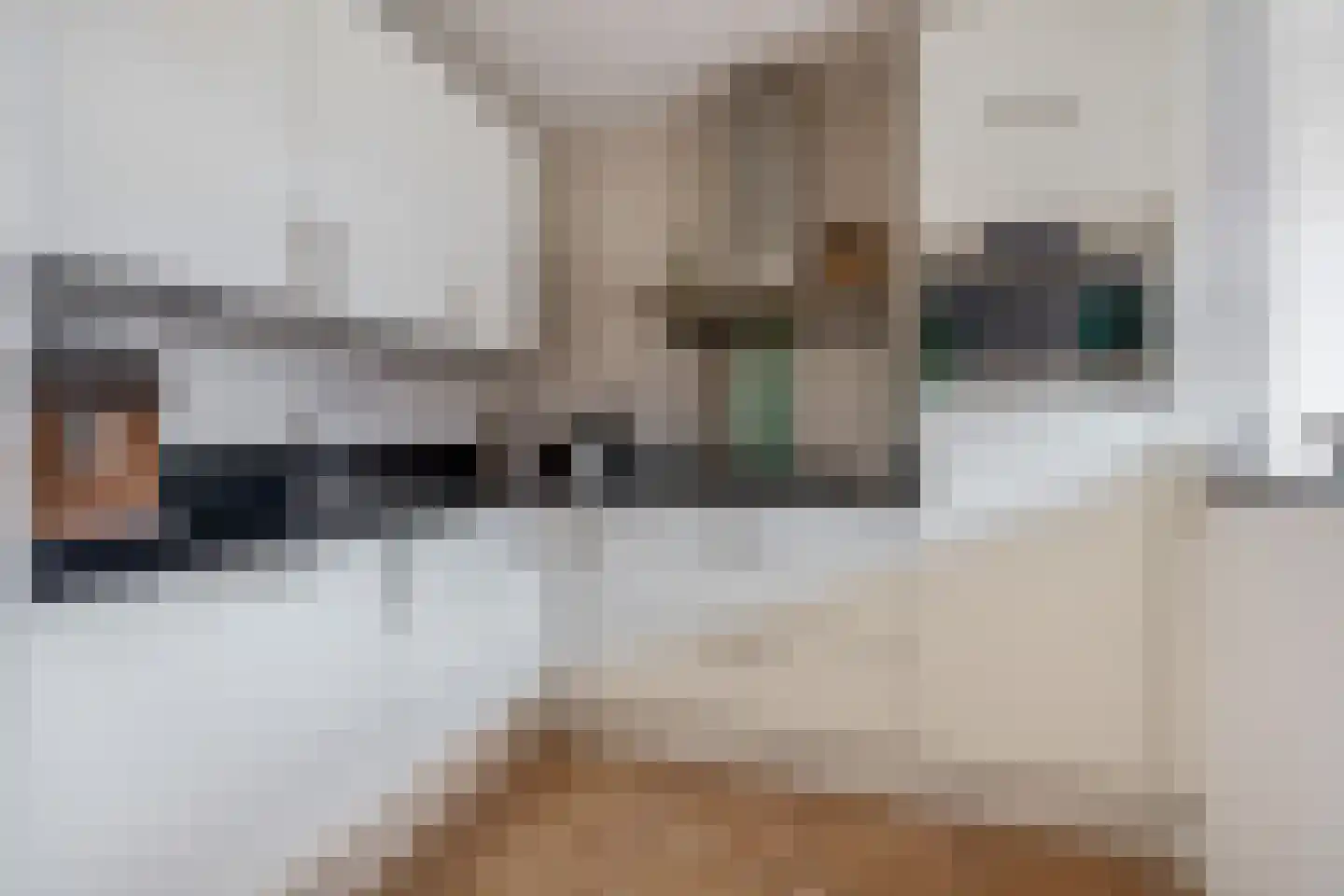 Charlotte de Bourbonstraat 7 Waddinxveen thumbnail 11