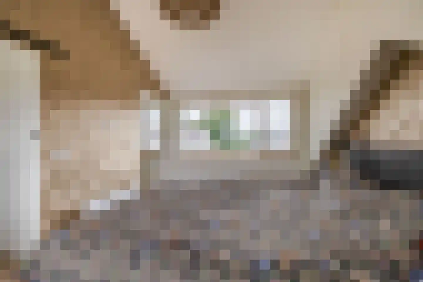 Charlotte de Bourbonstraat 7 Waddinxveen thumbnail 21