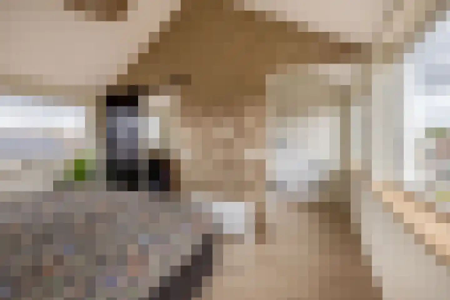 Charlotte de Bourbonstraat 7 Waddinxveen thumbnail 22