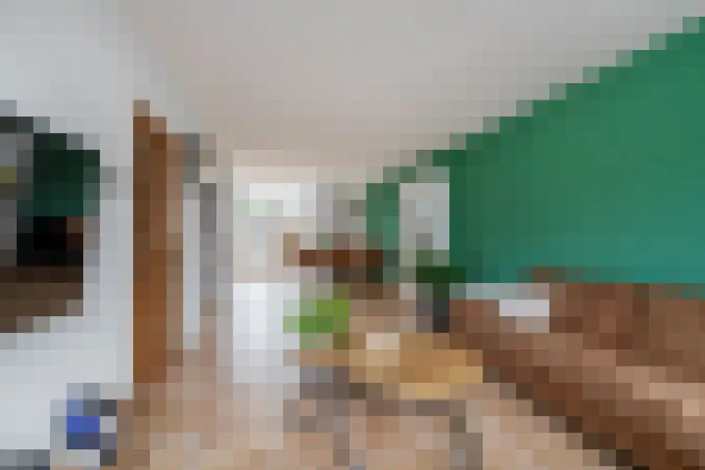 Charlotte de Bourbonstraat 7 Waddinxveen thumbnail 7