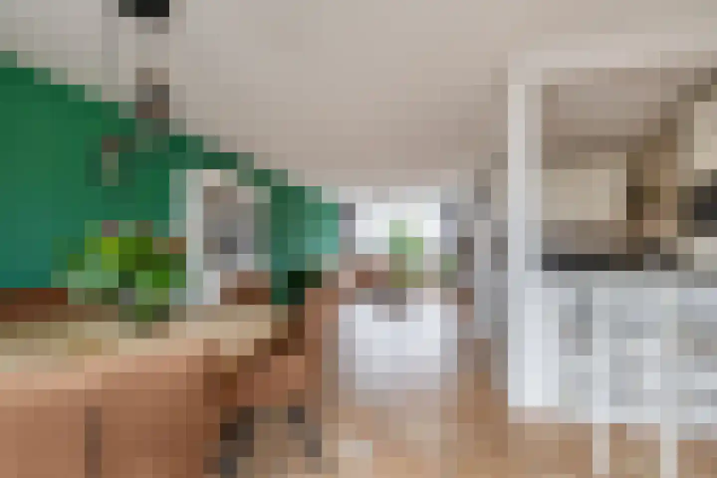 Charlotte de Bourbonstraat 7 Waddinxveen thumbnail 8