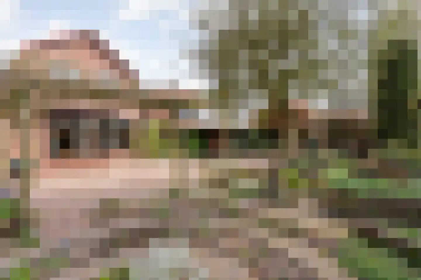 Charlotte Köhlerstraat 31 Hengelo thumbnail 52