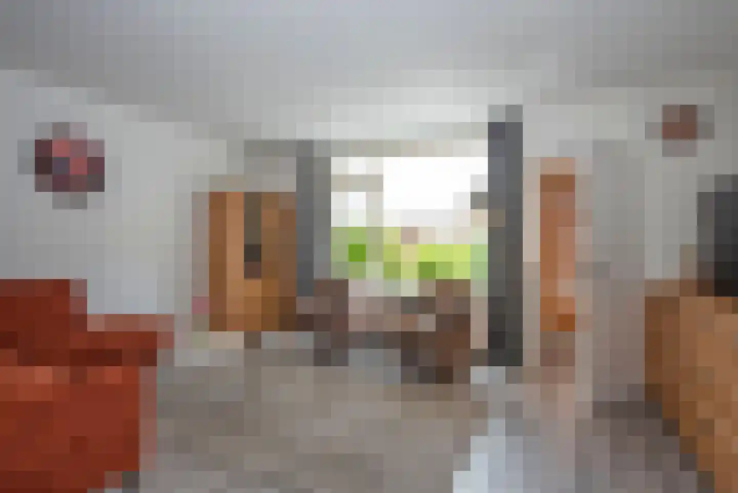 Charlotte Köhlerstraat 67 Hengelo thumbnail 6